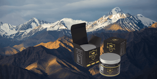 Royal Shilajit packaging with Karakoram Mountains in the background, showcasing its natural origin and power.