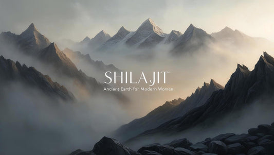 mistic mountains written shilajit