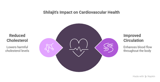 Royal Shilajit resin promoting cardiovascular health – a natural supplement known to support heart function, enhance circulation, and maintain optimal blood pressure.