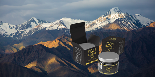 Mysteries of Royal Shilajit: A Wonder from the Karakoram Mountains