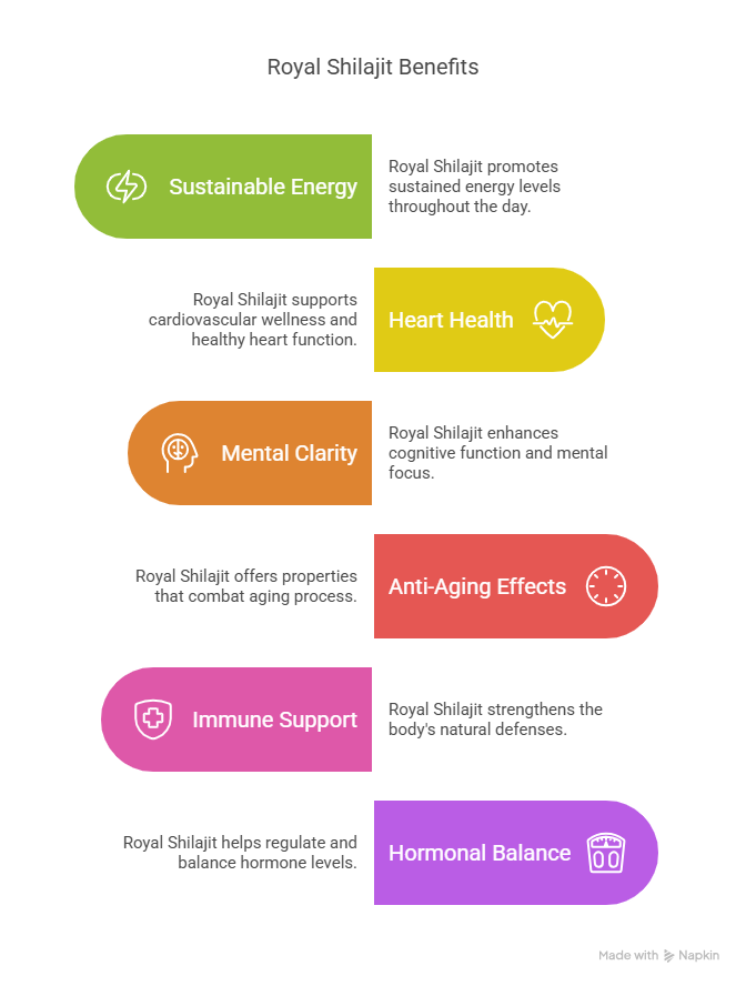 Infographic showcasing the powerful health benefits of Royal Shilajit, including sustained energy, heart health, cognitive clarity, anti-aging support, immune defense, and hormonal balance. Designed with a nature-inspired aesthetic to reflect purity and vitality.